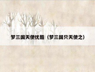 梦三国天使优酷（梦三国只天使之）