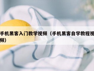 手机黑客入门教学视频（手机黑客自学教程视频）