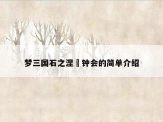 梦三国石之涅槃钟会的简单介绍