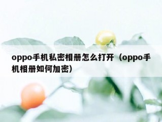 oppo手机私密相册怎么打开（oppo手机相册如何加密）