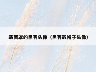 戴面罩的黑客头像（黑客戴帽子头像）