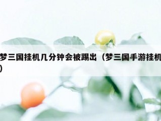 梦三国挂机几分钟会被踢出（梦三国手游挂机）