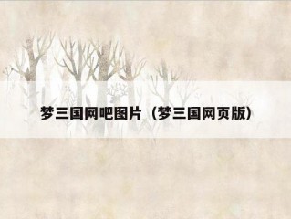 梦三国网吧图片（梦三国网页版）