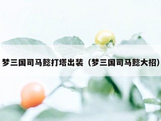 梦三国司马懿打塔出装（梦三国司马懿大招）