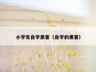 小学生自学黑客（自学的黑客）