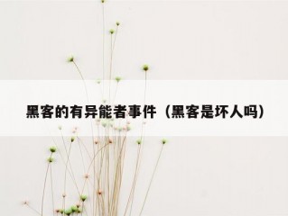 黑客的有异能者事件（黑客是坏人吗）