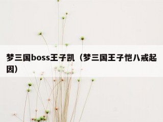 梦三国boss王子凯（梦三国王子恺八戒起因）