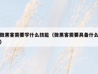 做黑客需要学什么技能（做黑客需要具备什么）