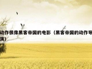 动作很像黑客帝国的电影（黑客帝国的动作导演）