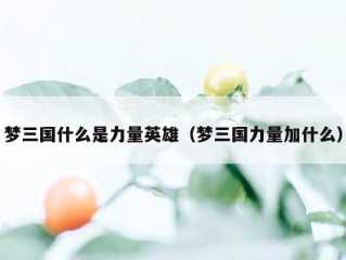 梦三国什么是力量英雄（梦三国力量加什么）