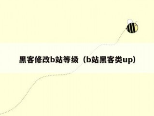 黑客修改b站等级（b站黑客类up）