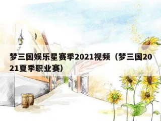 梦三国娱乐星赛季2021视频（梦三国2021夏季职业赛）