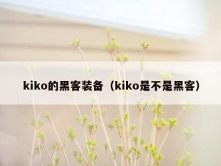 kiko的黑客装备（kiko是不是黑客）