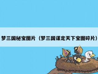 梦三国秘宝图片（梦三国谋定天下宝图碎片）