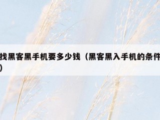 找黑客黑手机要多少钱（黑客黑入手机的条件）