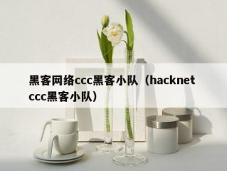 黑客网络ccc黑客小队（hacknet ccc黑客小队）