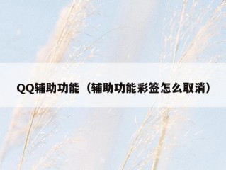 QQ辅助功能（辅助功能彩签怎么取消）