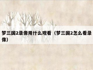 梦三国2录像用什么观看（梦三国2怎么看录像）