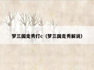 梦三国走秀打c（梦三国走秀解说）