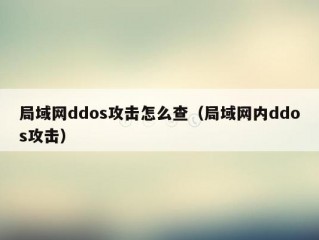 局域网ddos攻击怎么查（局域网内ddos攻击）