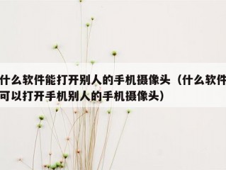 什么软件能打开别人的手机摄像头（什么软件可以打开手机别人的手机摄像头）