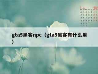 gta5黑客npc（gta5黑客有什么用）