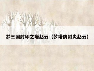 梦三国封印之塔赵云（梦塔防封炎赵云）