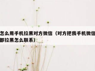 怎么用手机拉黑对方微信（对方把我手机微信都拉黑怎么联系）