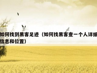 如何找到黑客足迹（如何找黑客查一个人详细信息和位置）