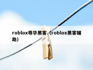 roblox辱华黑客（roblox黑客辅助）