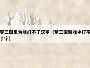 梦三国里为啥打不了汉字（梦三国游戏中打不了字）