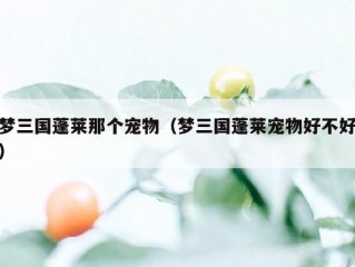 梦三国蓬莱那个宠物（梦三国蓬莱宠物好不好）