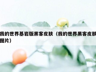 我的世界基岩版黑客皮肤（我的世界黑客皮肤图片）