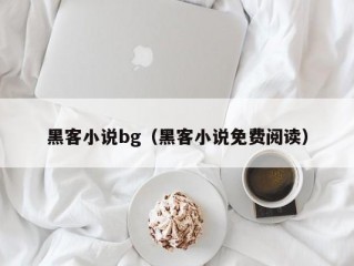 黑客小说bg（黑客小说免费阅读）