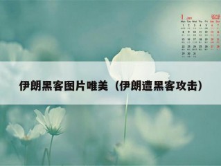 伊朗黑客图片唯美（伊朗遭黑客攻击）