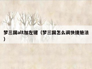 梦三国alt加左键（梦三国怎么调快捷施法）