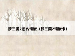 梦三国2怎么镶嵌（梦三国2镶嵌卡）