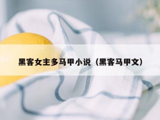 黑客女主多马甲小说（黑客马甲文）