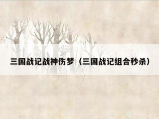 三国战记战神伤梦（三国战记组合秒杀）