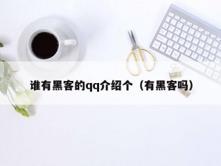 谁有黑客的qq介绍个（有黑客吗）