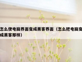 怎么使电脑界面变成黑客界面（怎么把电脑变成黑客那样）