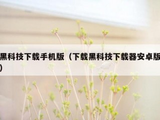 黑科技下载手机版（下载黑科技下载器安卓版）