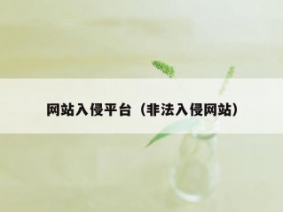 网站入侵平台（非法入侵网站）