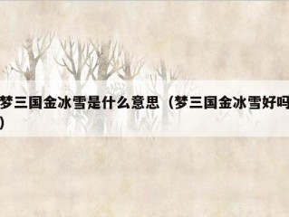 梦三国金冰雪是什么意思（梦三国金冰雪好吗）