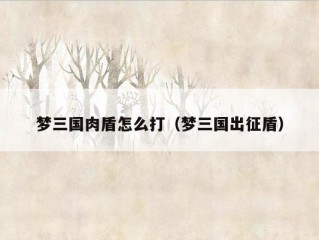 梦三国肉盾怎么打（梦三国出征盾）