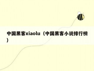 中国黑客xiaolu（中国黑客小说排行榜）