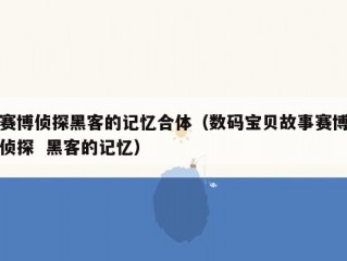 赛博侦探黑客的记忆合体（数码宝贝故事赛博侦探  黑客的记忆）