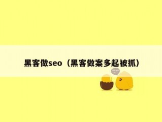 黑客做seo（黑客做案多起被抓）