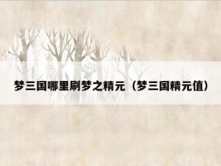 梦三国哪里刷梦之精元（梦三国精元值）