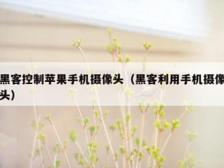 黑客控制苹果手机摄像头（黑客利用手机摄像头）